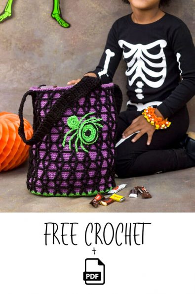 free-intermediate-crochet-spider-webby-bag